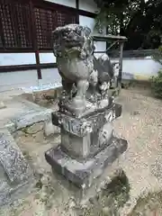 杵築神社の狛犬