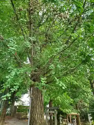 下野 星宮神社(栃木県)
