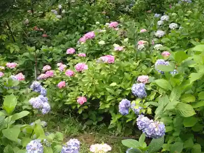本土寺(千葉県)