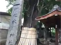 蓮沼氷川神社のその他建物