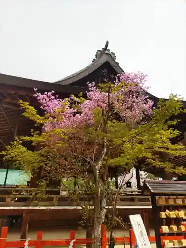 龍田大社(奈良県)