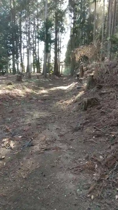 鹿島神社の周辺