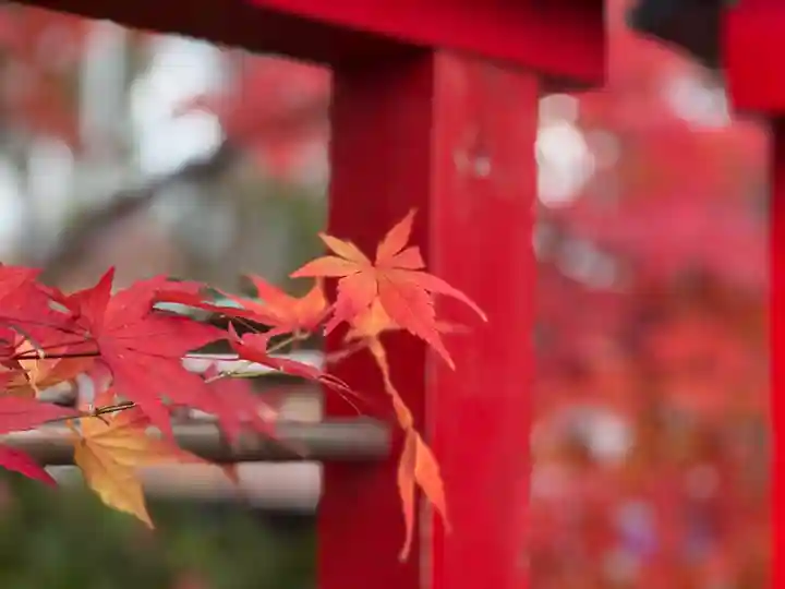 多摩川浅間神社の自然