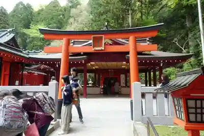 箱根神社の鳥居