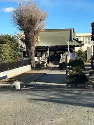 白鬚神社(埼玉県)