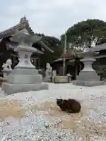 年毛神社の{uncategorized: "未分類", other: "その他", undefined: "問題あり", building: "その他建物", grave: "お墓", sacred_gate: "鳥居", guardian: "狛犬", statue: "像", buddha: "仏像", history: "歴史", nature: "自然", garden: "庭園", animal: "動物", pagoda: "塔", temizu: "手水舎", mountain_gate: "山門・神門", sanctuary: "本殿・本堂", subordinate: "末社・摂社", art: "芸術", scenery: "景色", jizo: "地蔵", ema: "絵馬", goshuin: "御朱印", omikuji: "おみくじ", items: "授与品その他", amulet: "お守り", goshuincho: "御朱印帳", eats: "食事", festival: "お祭り", votive_dance: "神楽", shichigosan: "七五三参", wedding: "結婚式", experience: "体験その他", initially: "初詣", around: "周辺", anti_infection: "感染症対策"}