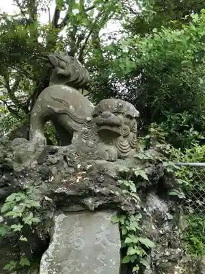 春日部八幡神社の狛犬
