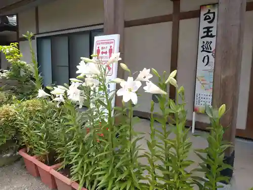前川神社(埼玉県)