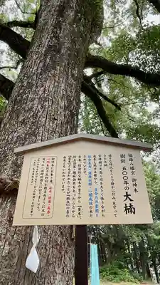 福母八幡宮(佐賀県)