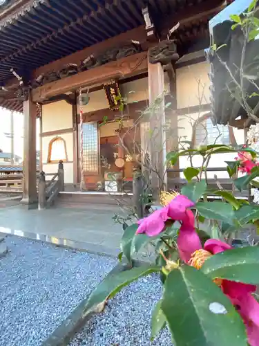 観音堂の本殿・本堂