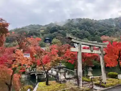 禅林寺（永観堂）(京都府)