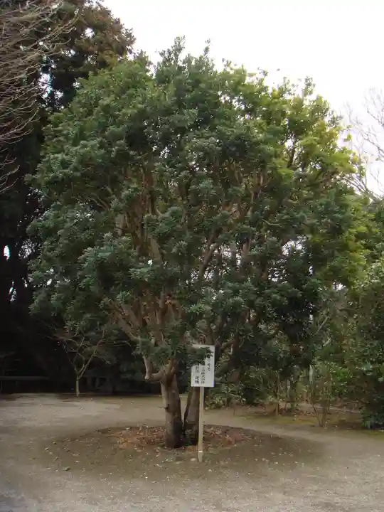 大洗磯前神社の自然