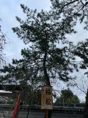 讃岐國分寺(香川県)
