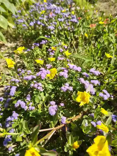 高司神社〜むすびの神の鎮まる社〜の自然