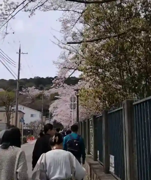 園城寺(三井寺)(滋賀県)