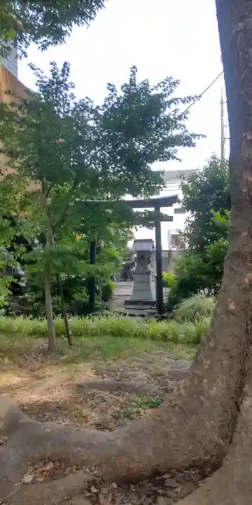 氷川神社(埼玉県)