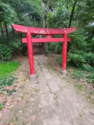 玉敷神社(埼玉県)