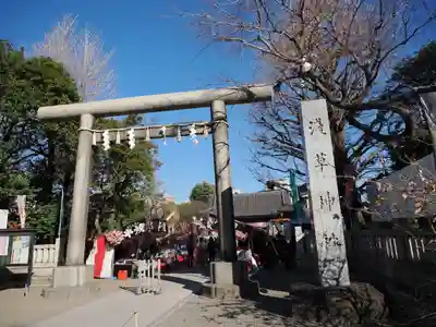 浅草神社の初詣