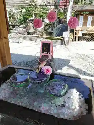 川越熊野神社の手水舎