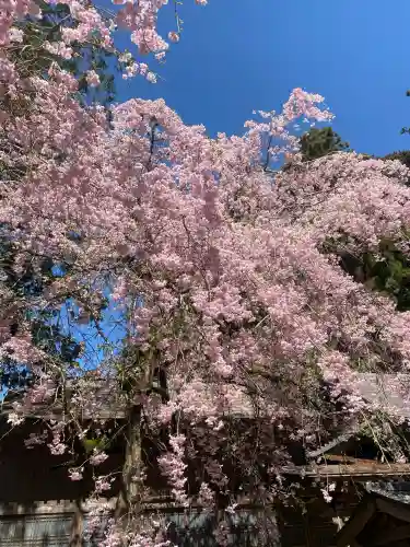 光丸山 法輪寺(栃木県)