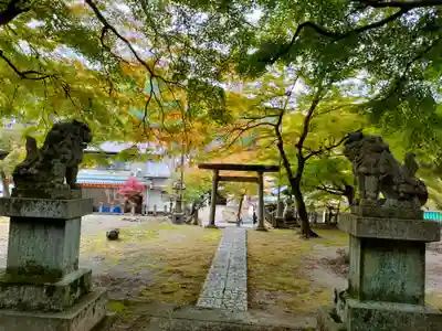 八王子神社の狛犬