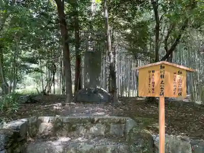 地蔵院(京都府)