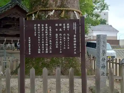 挙母神社(愛知県)