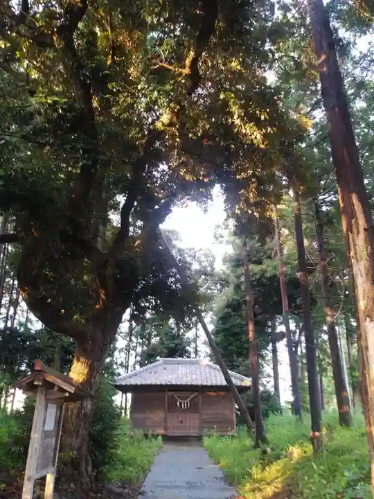 鹿島神社の本殿・本堂