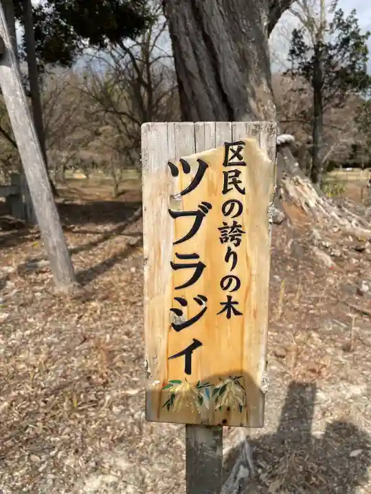 大覚寺(京都府)