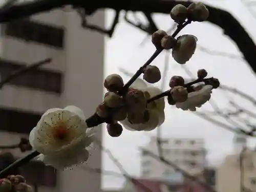 静岡天満宮の自然