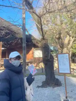 靖國神社(東京都)