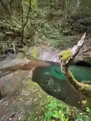 龍鎮神社(奈良県)