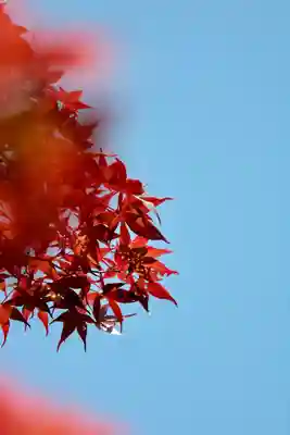 氷川女體神社(埼玉県)