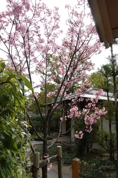 西宮神社の自然