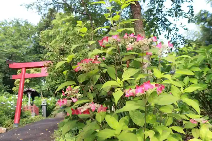 三春駒神社の鳥居