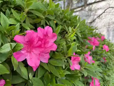美奈宜神社(福岡県)