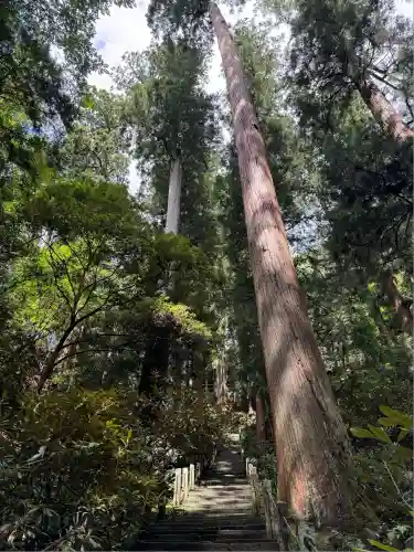 室生寺奥の院(奈良県)