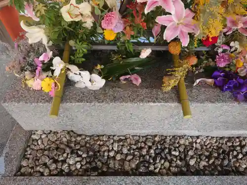生田神社(兵庫県)