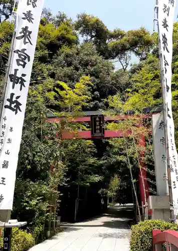 來宮神社の鳥居