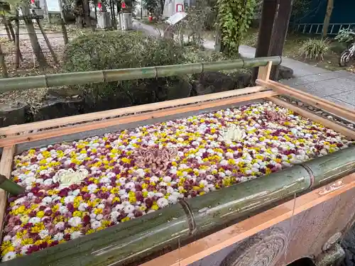 笠間稲荷神社(茨城県)