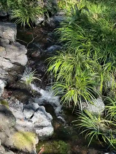 富士山本宮浅間大社(静岡県)