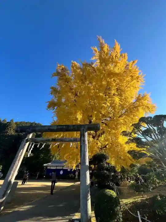 丹生酒殿神社(和歌山県)