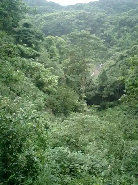 建長寺 半僧坊の自然