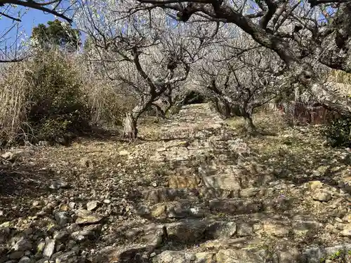 長楽寺(静岡県)