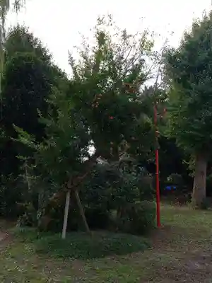 香取神社(旭町香取神社・大鳥神社)(千葉県)