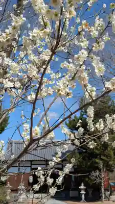 巨椋神社(京都府)