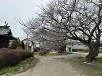 長沼八幡宮(栃木県)