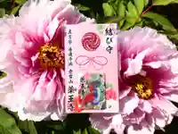 真言宗 善通寺派 薬王寺のお守り