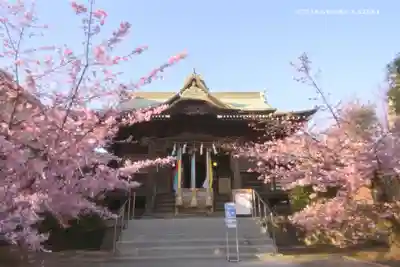 桜神宮の本殿・本堂
