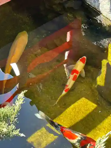 蛇窪神社(東京都)